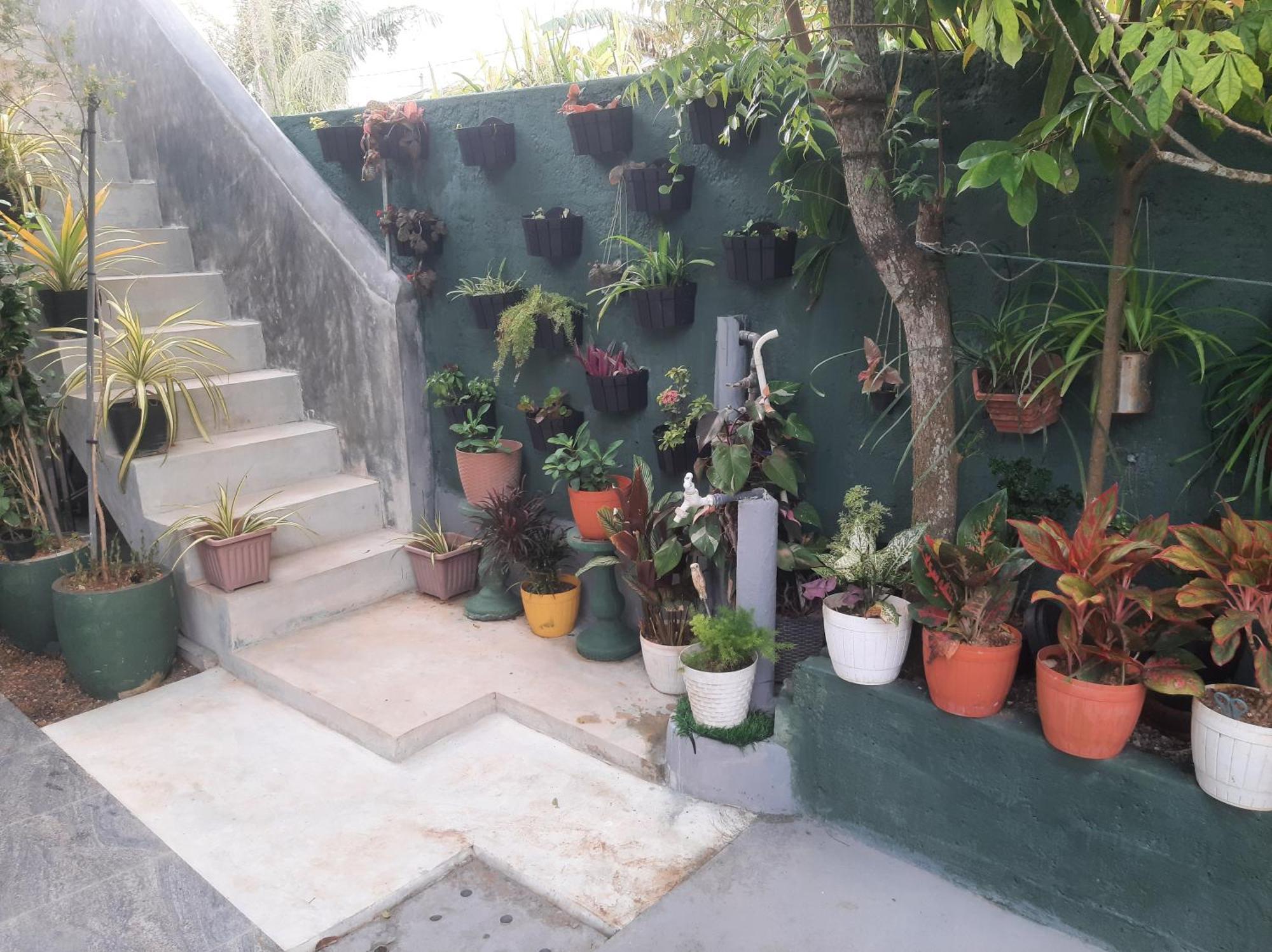 فندق Weerakoon Garden Guest هيكادوفا المظهر الخارجي الصورة